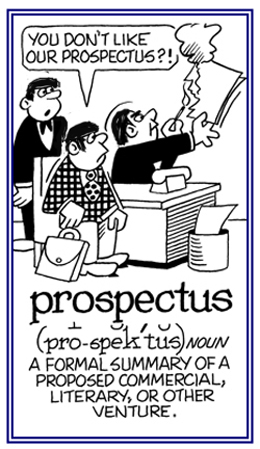 A formal summary of a proposed business arrangement.