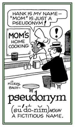 A fictitious or false name.