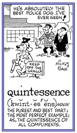 The most perfect example.