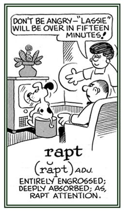 Entirely engrossed or paying full attention.