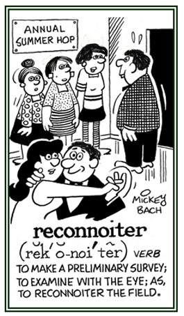 To make a preliminary survey.