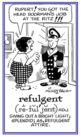 Splendid attire or chothes.