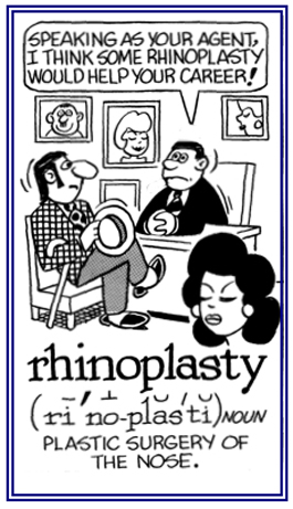 A nose job that improves its appearance.