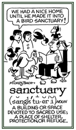 A shelter or refuge devoted to the protection of animals.