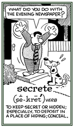 To hide or to conceal.