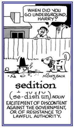 Resistance to a government.