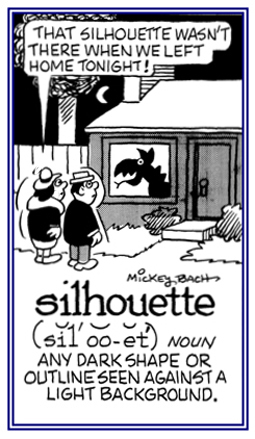 A dark shape or outline seen against a light background.