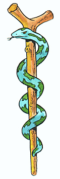 Aesculapian snake and staff.