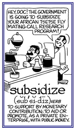 To support with a monetary contribution or to aid and to promote; such as, a private enterprise with public money.