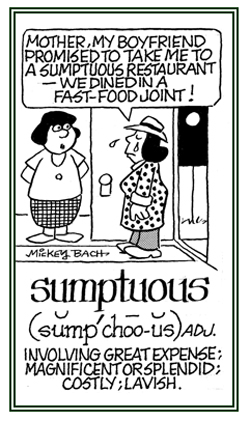 Referring to something of great expense and  so very luxurious.