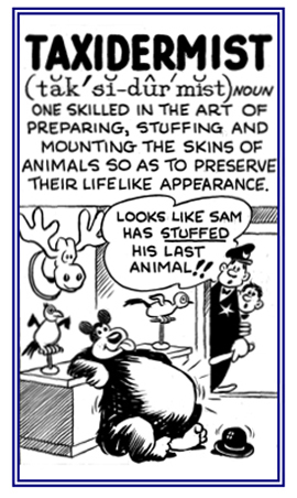 Someone who is skilled in preparing, stuffing, and mounting the skins of animals.