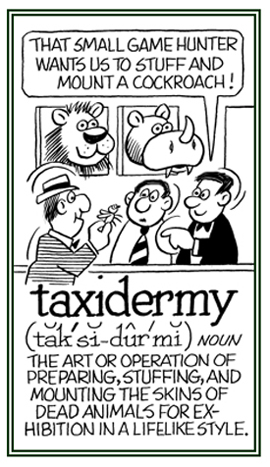 The skill of preparing the skins of dead animals for lifelike presentations for people to see.