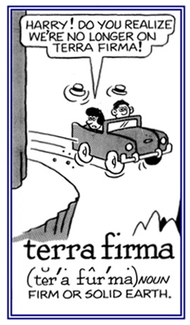 Solid or firm earth.