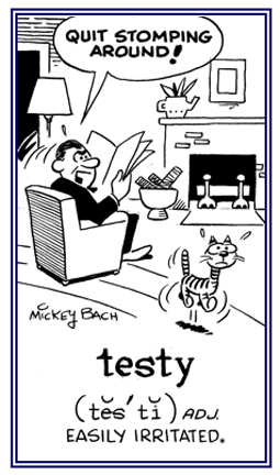 Easily irritated or upset.