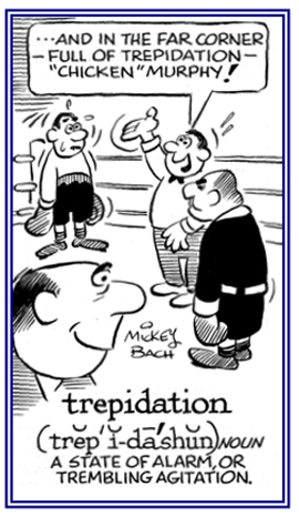 A state of alarm or agitation.