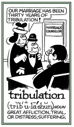 Great distress and suffering or afflictions.