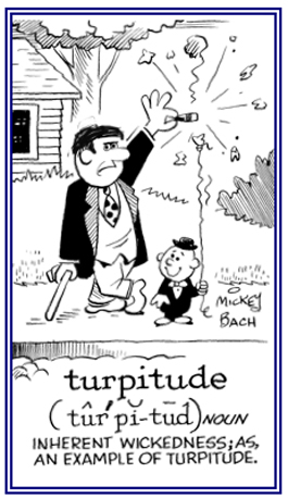 Wickedness and shamefulness.