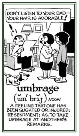 A feeling about another person's negative comments.