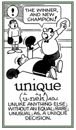 Relating to being unlike anything or anyone else.