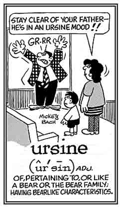 Growling in anger like a bear.