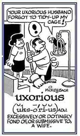 Wife has her husband doing the housework.