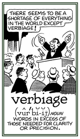 Words used in excess of those that are necessary.