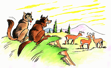 Wolves are contemplating their next meal.