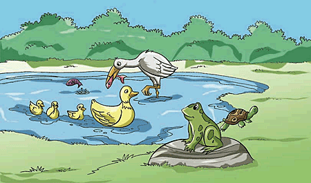 Animals that are large enough to be seen without a microscope are known as macrofauna.