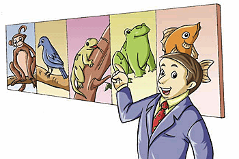 The five classifications of animals.